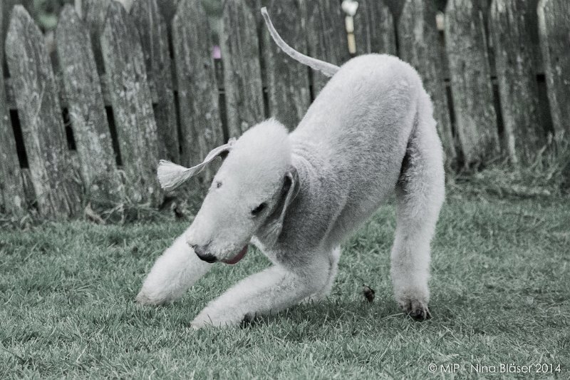 2014-03-14 Svet-8034-2.jpg